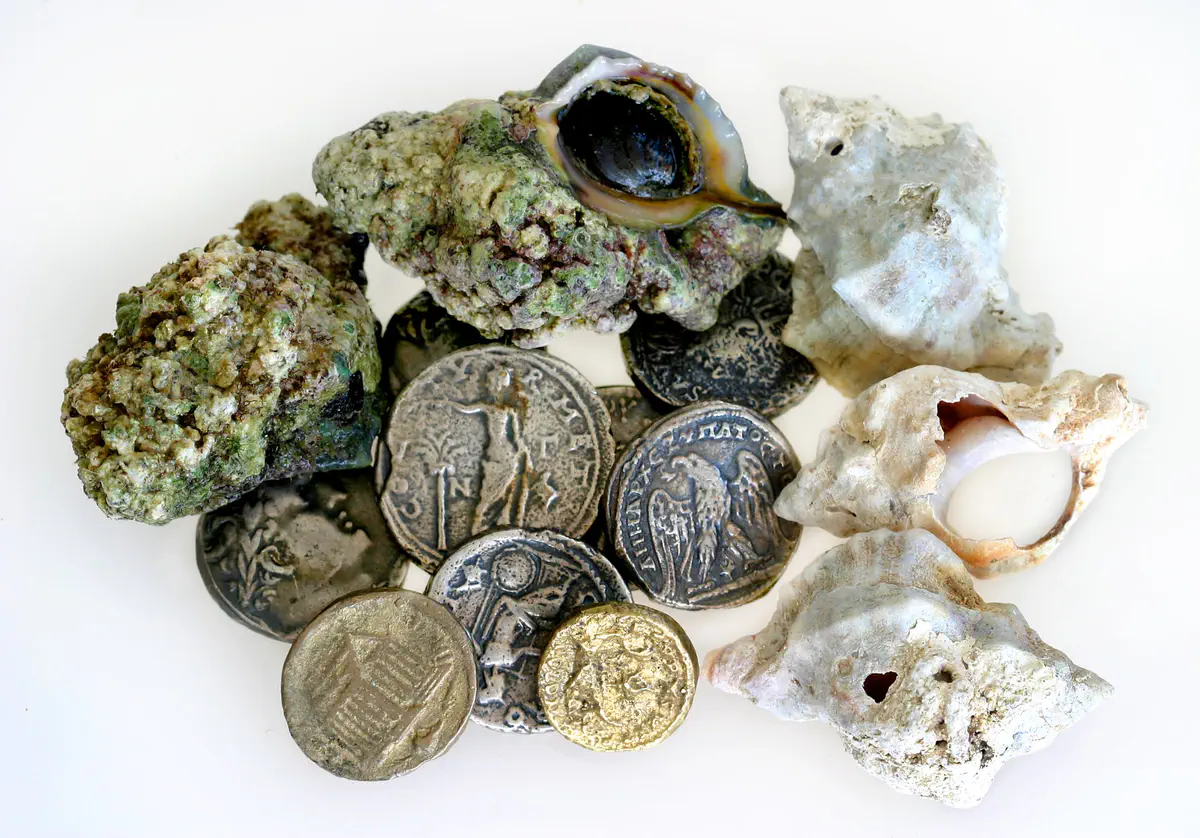 החלזונות ומטבעות עתיקים שנמצאו בחיפושי התכלת