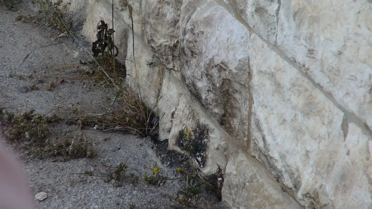 שרידי הבקבוקי תבערה