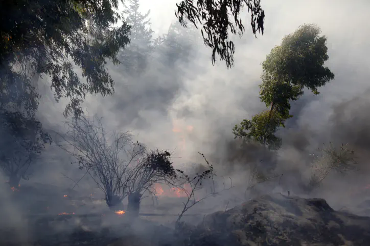 השריפה - יער ירושלים
