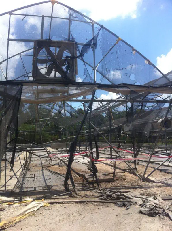 נזק לחממה בחוף אשקלון