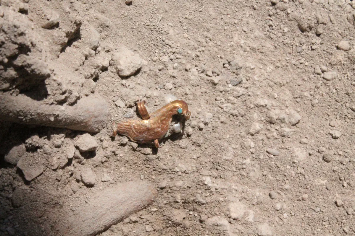 תליון היונה