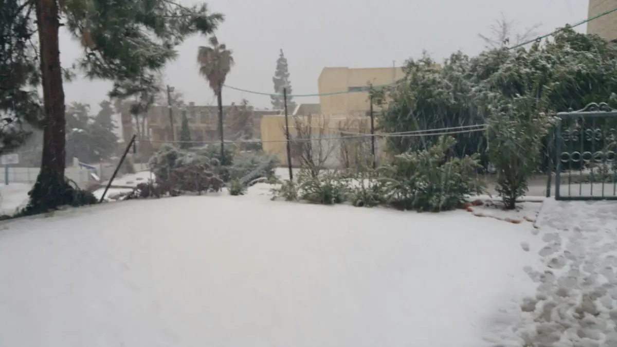 ישיבת בנ''ע במירון