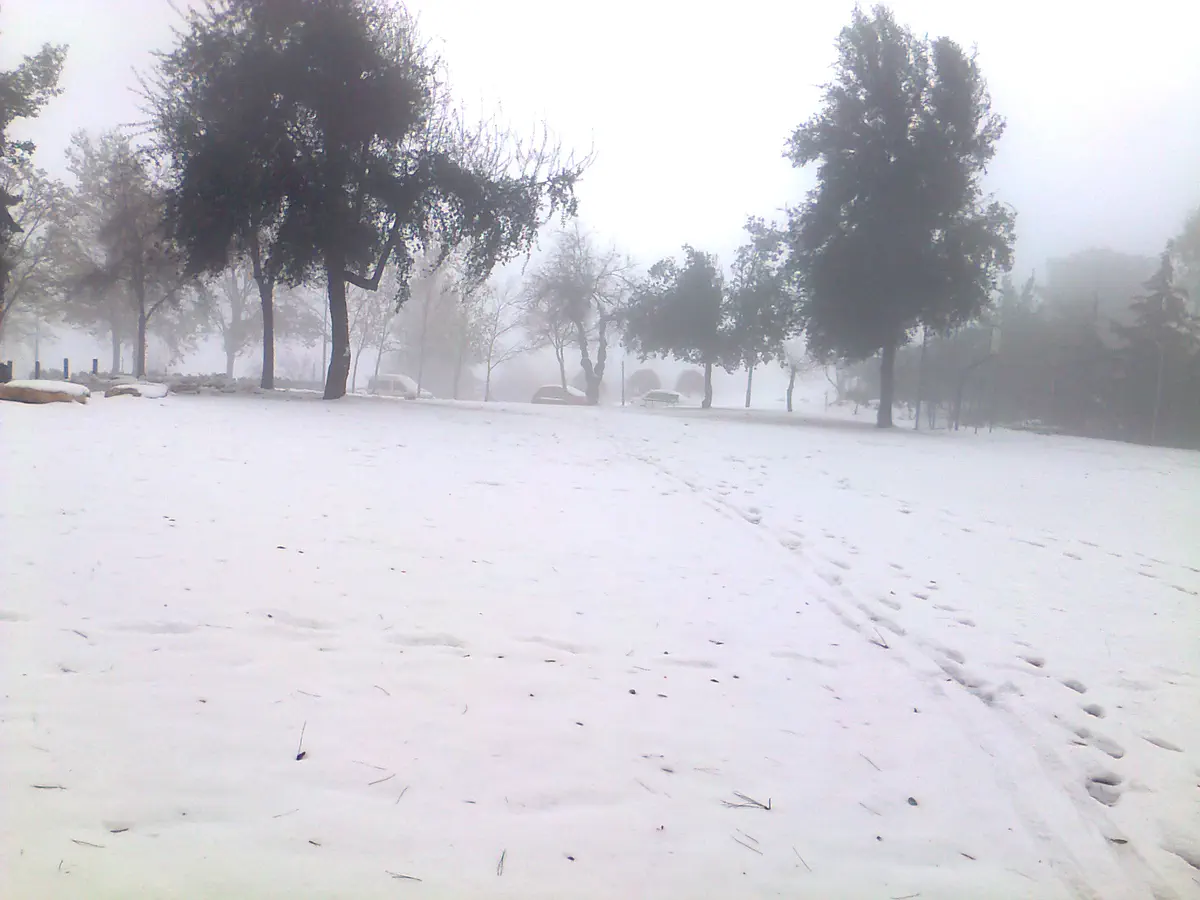 שלג בראש צורים