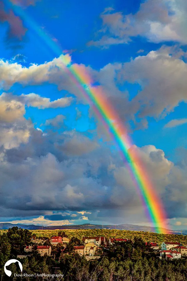המקום הרביעי