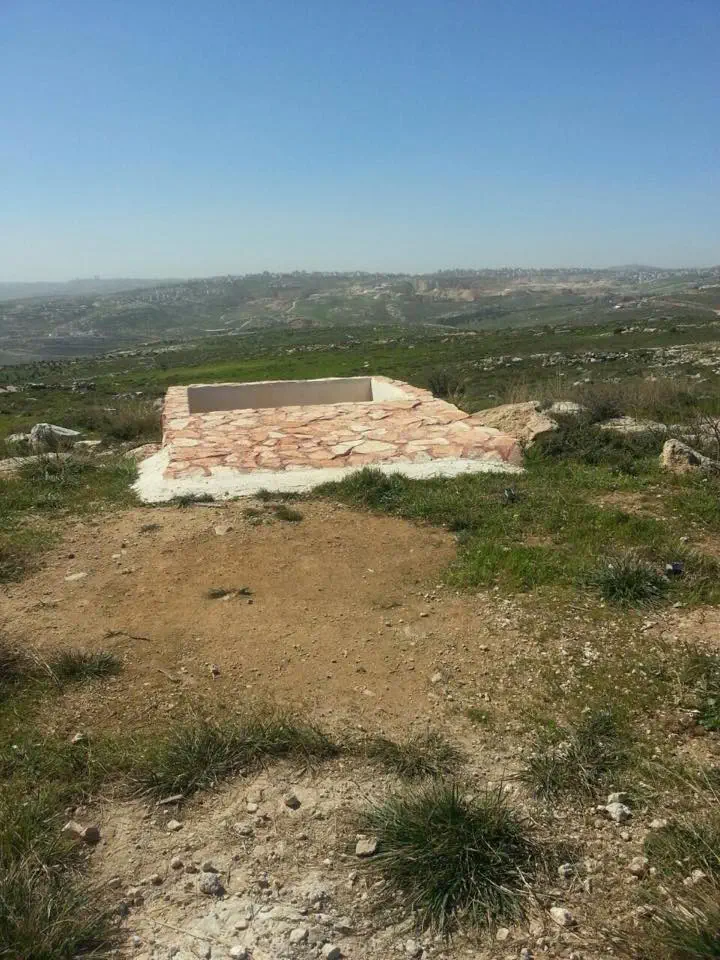 לאחר ההשחתה