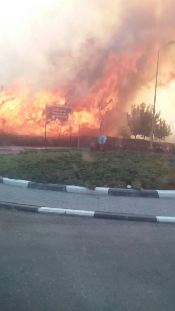 השריפה בחיפה