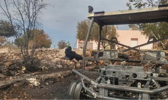 נזקי האש בנטף