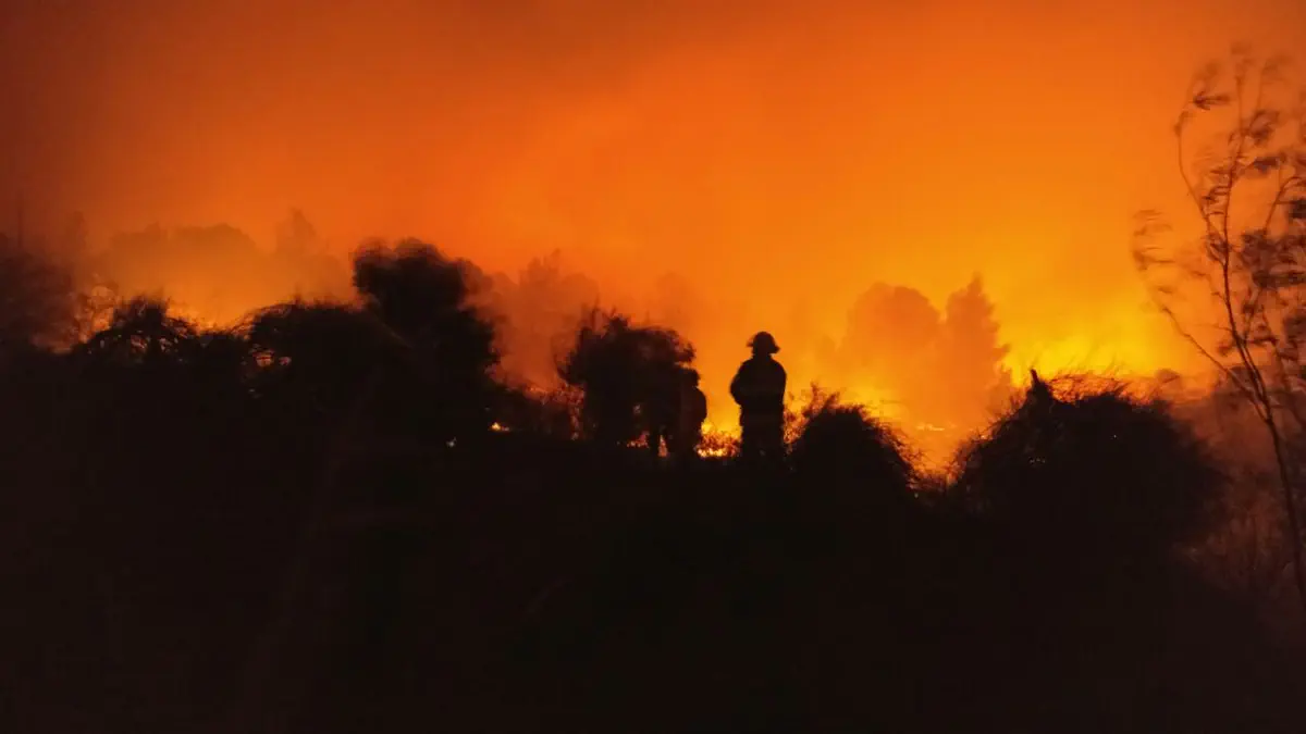 שריפה באזור לטרון
