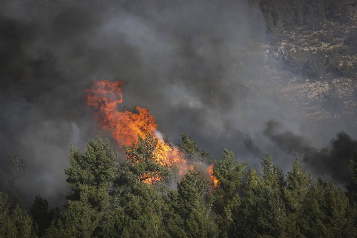 השריפה בנווה אילן