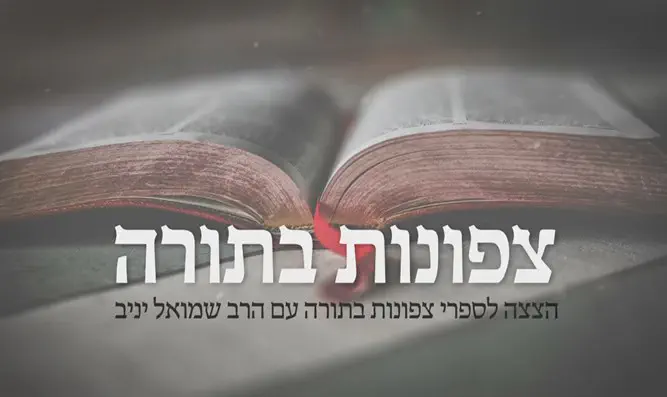 צפונות בתורה - המספר 13