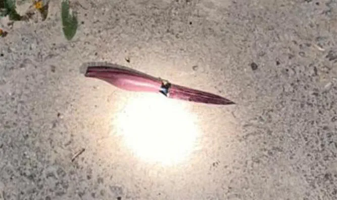 צילום: דובר צה"ל סוכל ניסיון פיגוע בבקעה