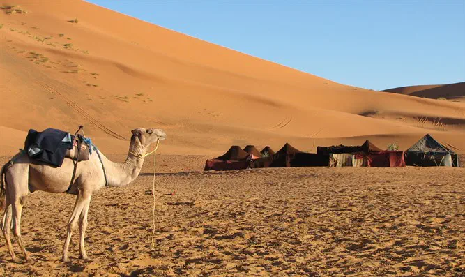 Bilaam's handle on the Jewish Door