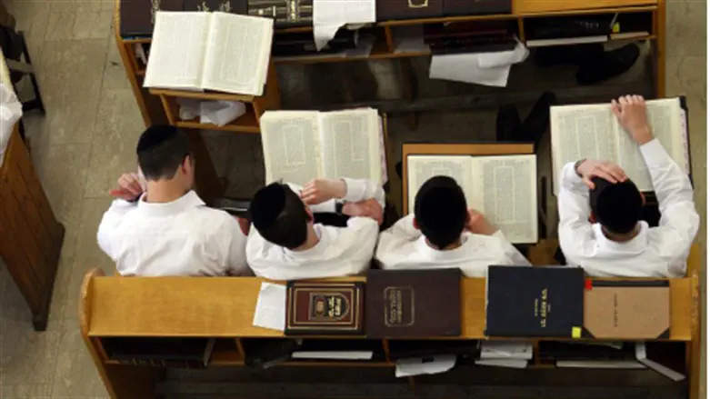 למה תרמתי את המענק לאברכים?