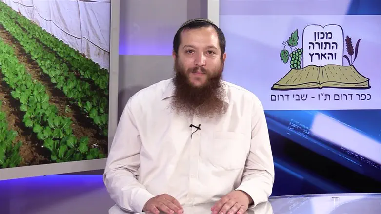 צילום: ערוץ 7 אל תשכחו את הגננים