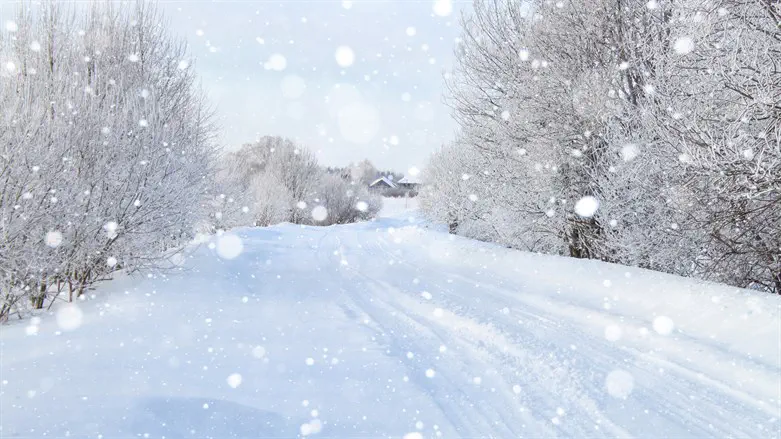 Monster storm freezes US, cancels thousands of flights and cuts power