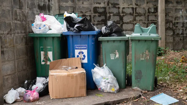 הספר הושלך לפח, עובדי התברואה חילצו 