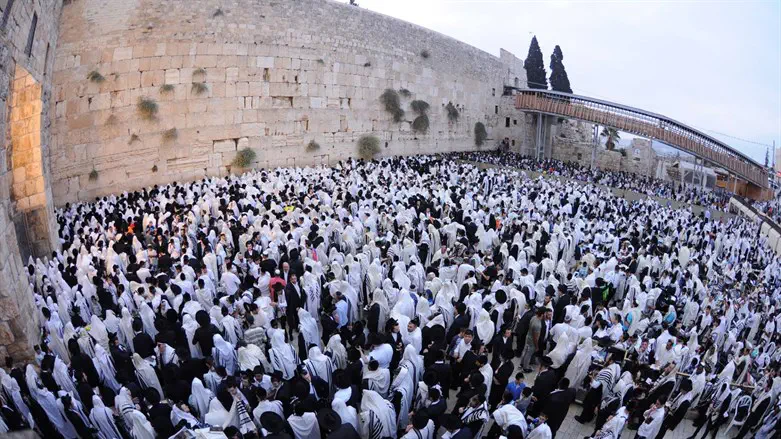 Courtesy of Dirshu United we stand