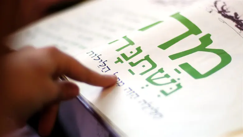 iStock 80% of US Jews plan to celebrate Pesach Seder