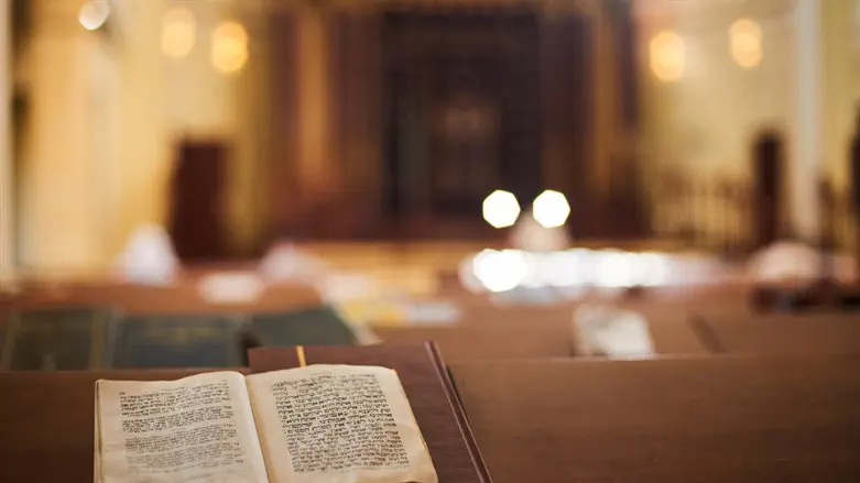 חיפה: כתובות נאצה אנטי-חרדיות על בית כנסת