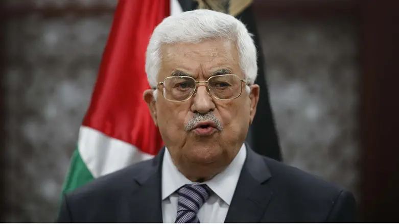 «У нас будет своя демократическая система»