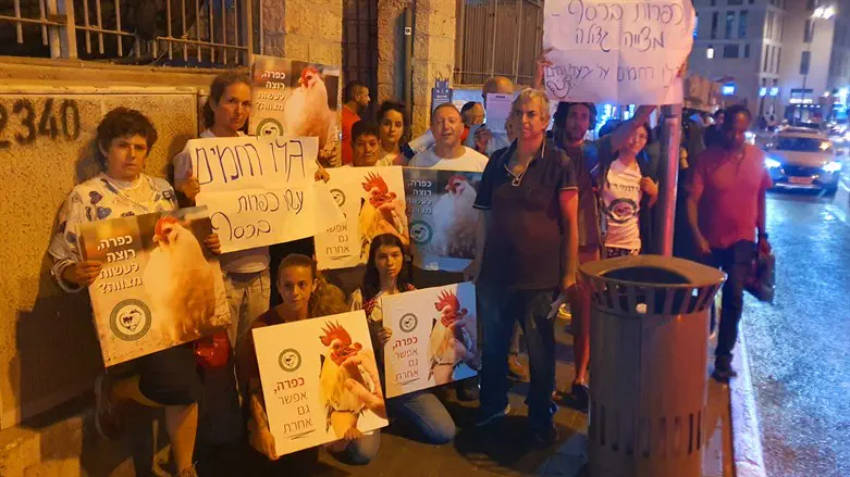 צילום: חופש לבעלי חיים הותקפו פעילים שמחו נגד כפרות עם תרנגולים
