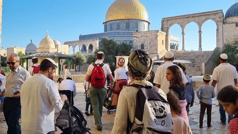 www.israelnationalnews.com