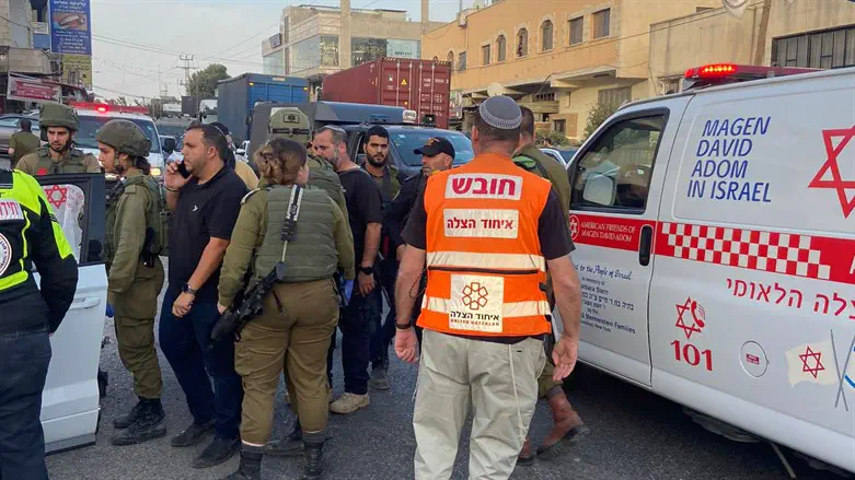 The Lone Wolf Is not alone: What drives the stabbing Jihad