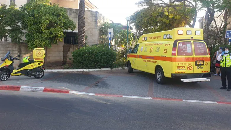 MDA Six Thai workers injured by unexploded ordnance near Metula