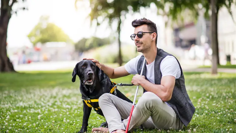 חיים על סף פיצוץ      