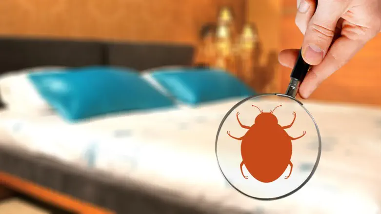 המדריך האולטימטיבי להדברת פשפשי המיטה