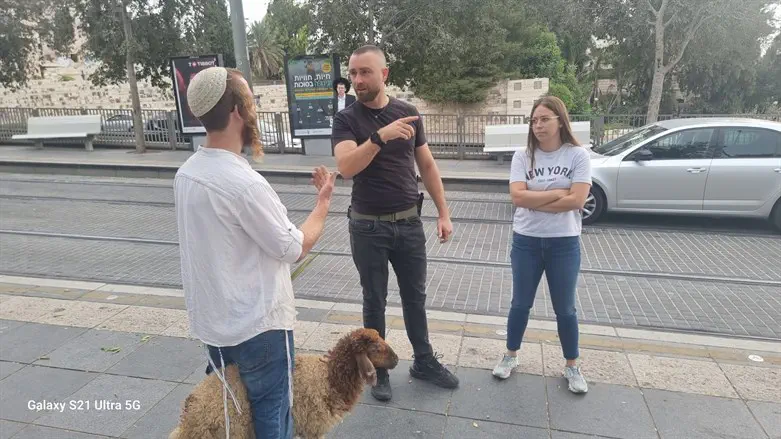 נתפס עם כבש בדרך להקריבו בהר הבית