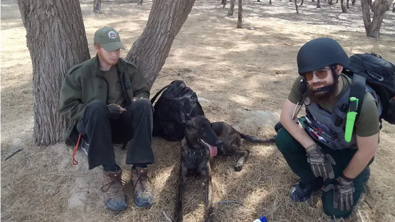 From Monsey to the Gaza border