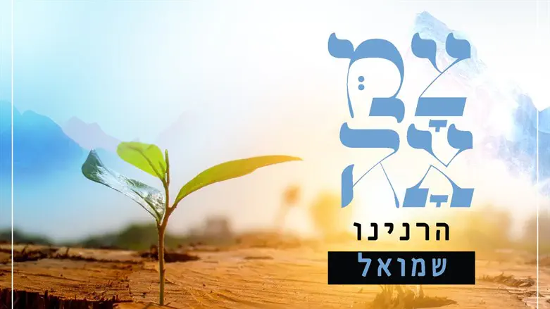 צילום: ללא פרוייקט 'צמאה' מציג: 'הרנינו' בעיבוד חדש