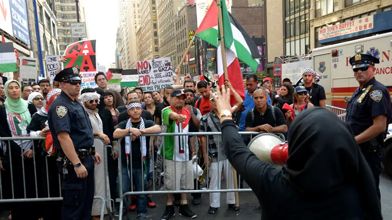 Anti-Israel activists claim assault by Egyptian mission staff