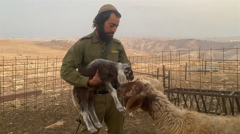 צו מנהלי נגד בעל חווה בבנימין