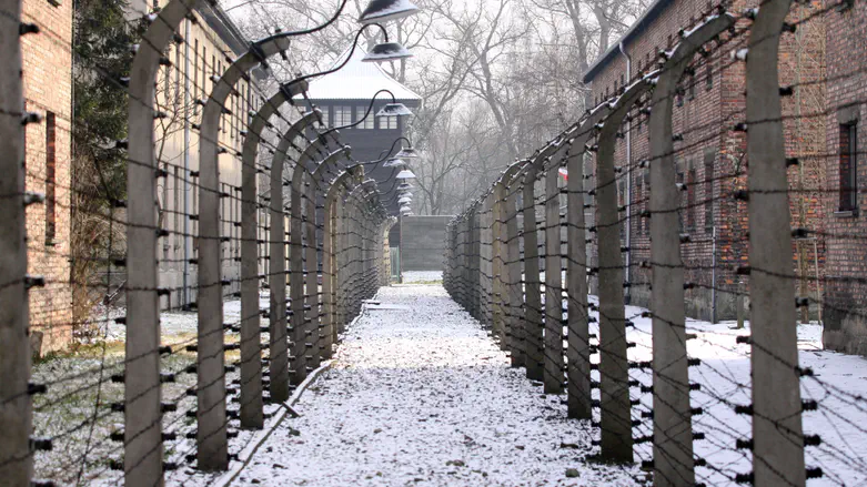 כשסבתו של ראש השב"כ סטרה לקצין נאצי