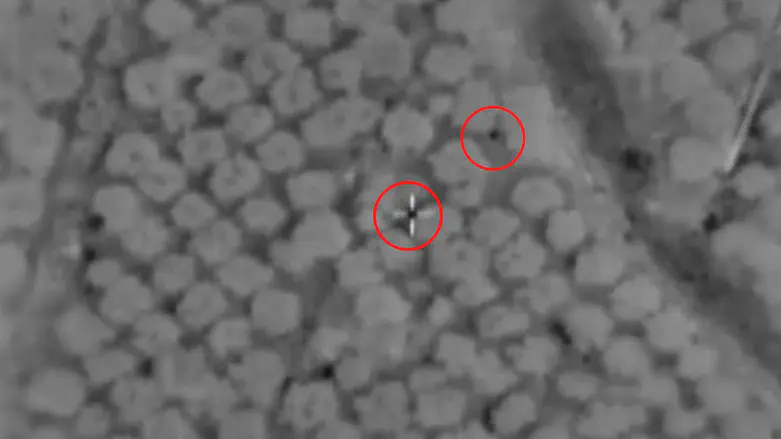 IDF eliminates two key Hezbollah terrorists in southern Lebanon