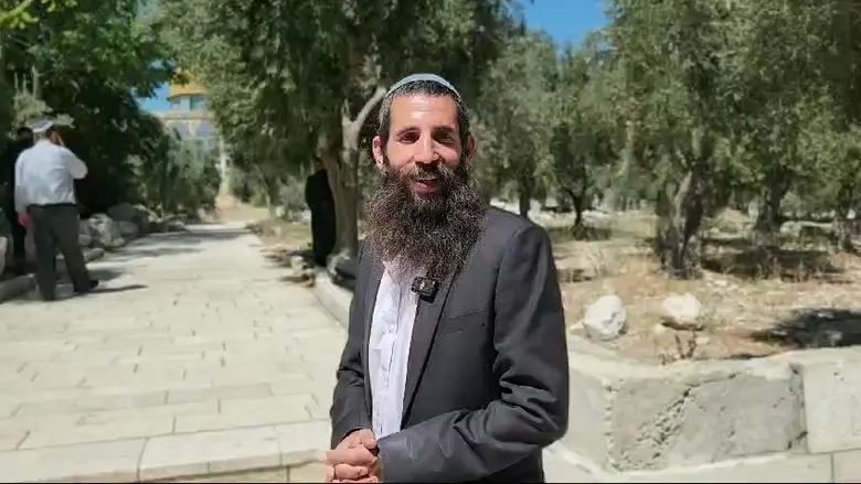 סערת המסיק: הפסיקה של הרב מרדכי אליהו