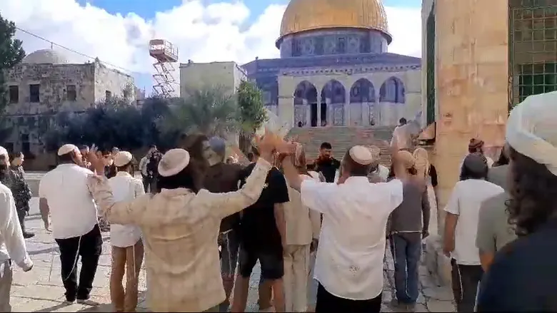 שירת כיסופים בהר הבית: "ועינינו תראינה"