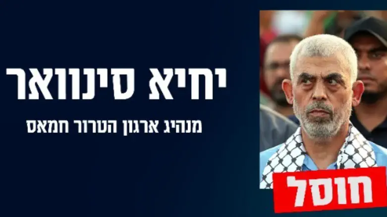 צילום: דובר צה"ל ישראל הייתה קרובה לסינוואר 5 פעמים