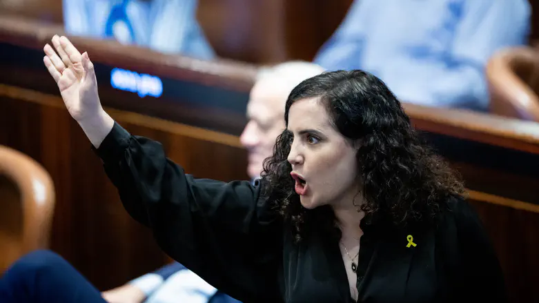 ח"כ לזימי נגד בצלמו: "ארגון הסתה"