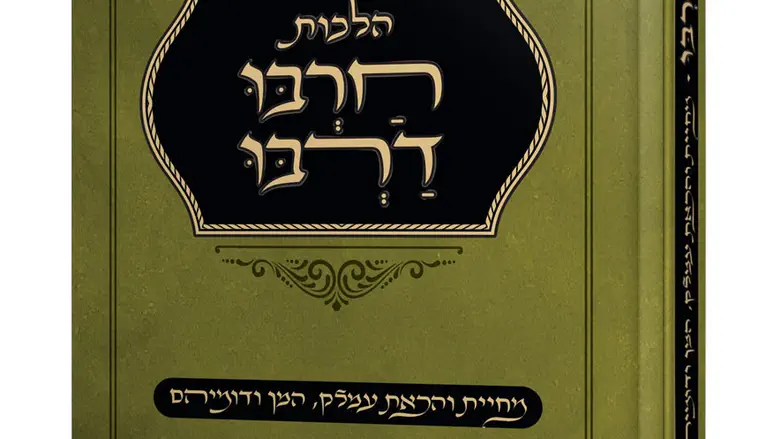 ספר הלכה חדש: "הלכות חרבו דרבו"