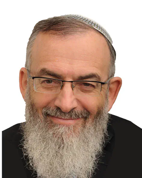 הרב דוד סתיו