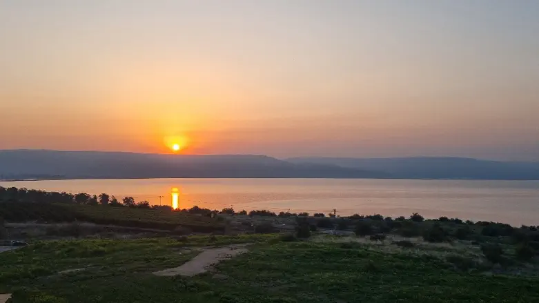 צילום: קובי פינקלר זמני היום...