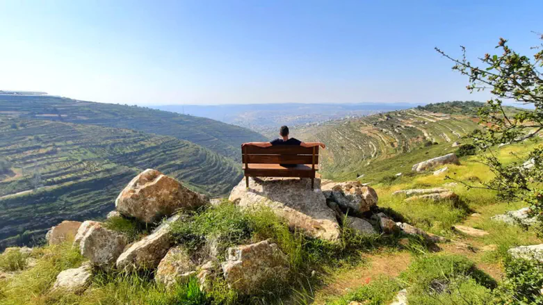 צילום: ליאור שכטר מי לא פוחד מדרך ארוכה?