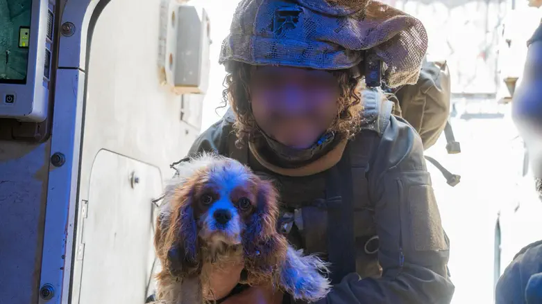צילום: ללא קרדיט הכלבה שנחטפה מניר עוז חזרה לבעליה