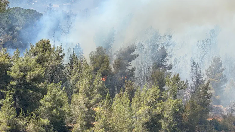 Jerusalem firefighter appeals to haredi parents