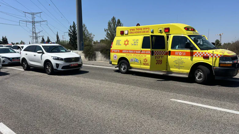 נער בן 14 נהרג בתאונה קטלנית בין משאיות