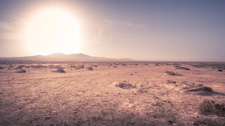צילום: istock אהבה שאין כמותה ואומץ של עם ישראל