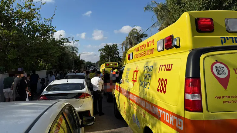 צילום: דוברות מד"א שלושה ילדים אותרו במצב קשה ברכבים סגורים